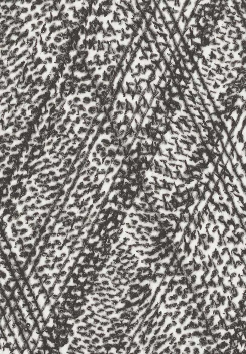 Italics Drypoint series Italics