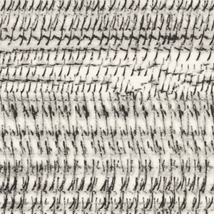 Ruis/Noise Drypoint series Ruis/Noise
