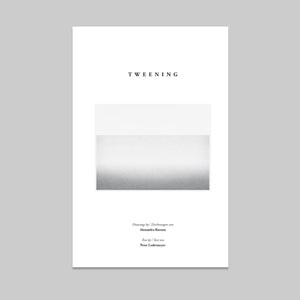 Publication Peter Lodermeyer Tweening series